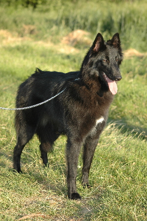 Vénitia De la Vallée des Sortilèges