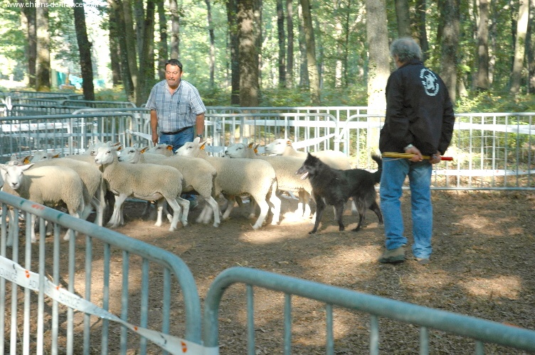 Vahia De la Vallée des Sortilèges