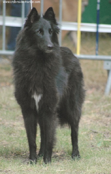 Vahia De la Vallée des Sortilèges